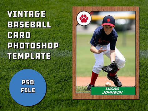 Baseball Card Sample 的图像结果