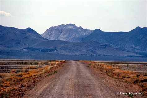 Desert Survivor: Climbing Crystal Peak in Millard County, Utah --with Kids!
