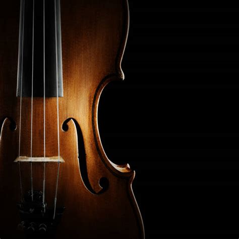 Image result for String Instruments Cello