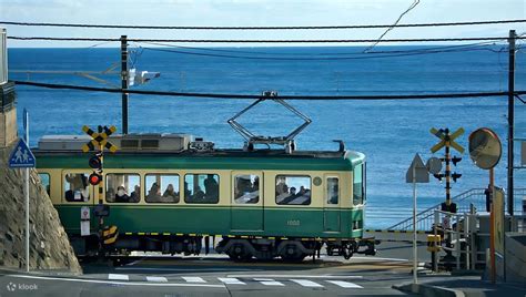 From Tokyo: Full Day Tour to Kamakura Great Buddha & Enoden Ride ...