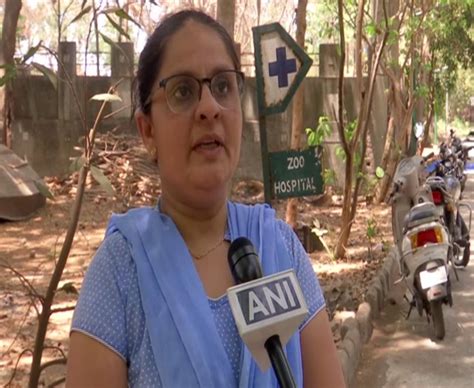 Surat zoo makes special arrangements to keep animals cool