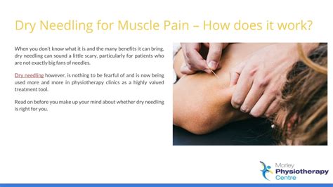 PPT - Dry Needling for Muscle Pain - How does it work? - Morley Physiotherapy PowerPoint ...