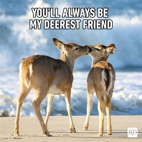 25 Funny Friend Memes to Send to Your Bestie | Reader's Digest