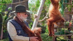 SC-appointed SIT has 195 questions for Reliance’s Vantara; CBI, ED may ...