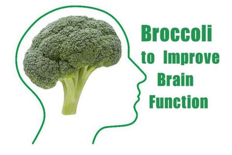 Image result for Improving Brain Function and Memory