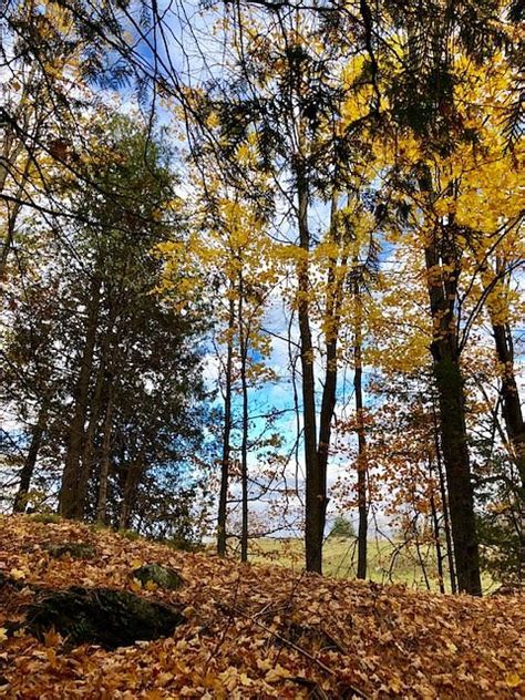 BAIRD TRAIL (2025) All You Need to Know BEFORE You Go (with Photos ...