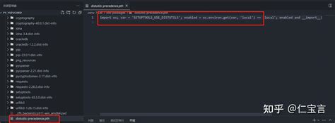 Module Not Found NPM vs Code 的图像结果