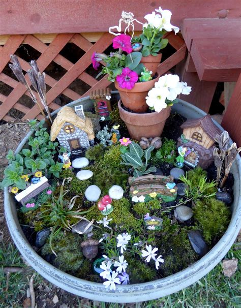 Indoor Fairy Garden Plants