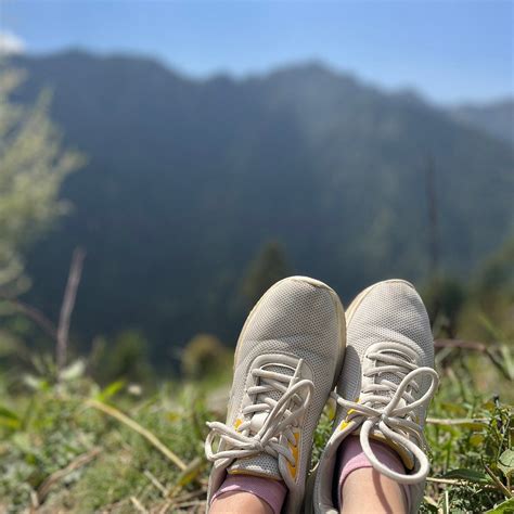 ZOSTEL SHOJA JIBHI - Hotel Reviews, Photos, Rate Comparison - Tripadvisor