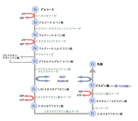 Image result for Secure Hash Algorithm Hint Image