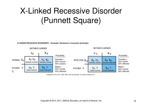 PPT - Chapter 21 PowerPoint Presentation, free download - ID:217328