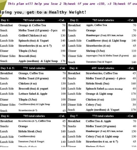 800 calories meal plan | 800 calorie meal plan, 500 calories a day ...
