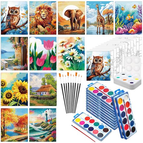 Amazon.com: Ctosree 12 Sets Pre Drawn Canvas Kit for Painting for ...