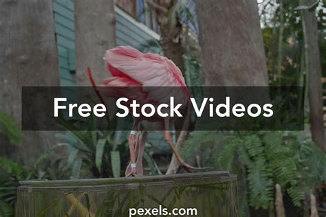 Image result for Straining Poop Animation