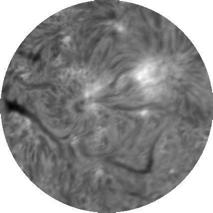 Daily MAST Data Products