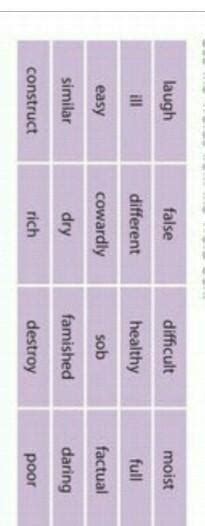 word box write a synonym and an antonym for each the word . use the ...