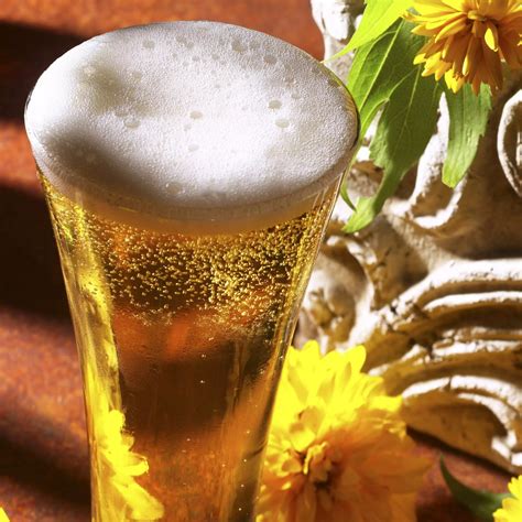 Just In: Oktoberfest Beer Bus Crawl | WhatsHot Bangalore