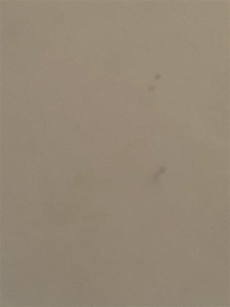 RED TREE INN (Myrtle Beach) - Lodging Reviews, Photos, Rate Comparison ...