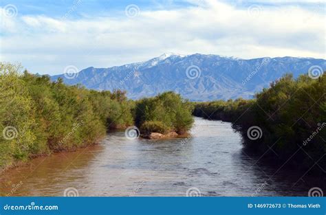Arizona: Gila River with Mt. Graham Stock Image - Image of covered ...