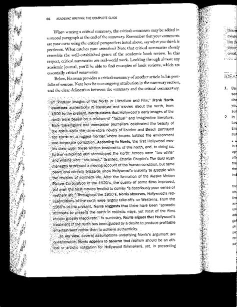 Critical Information Summary Example 的图像结果