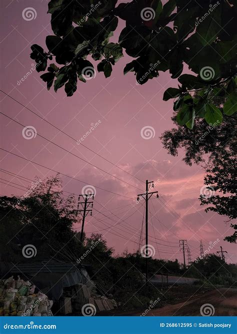 Real Nature 的图像结果