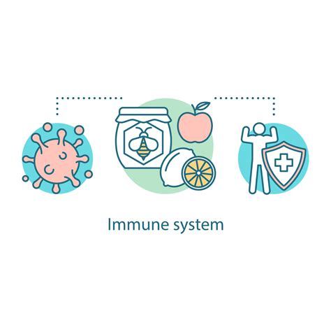 Immune system concept. Healthy nutrition idea thin line illustration ...
