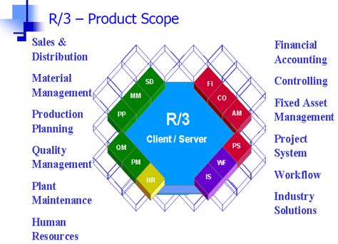 SAP R 3 Module 的图像结果