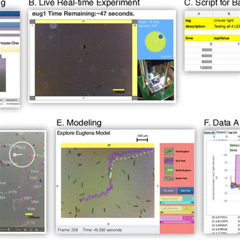 Image result for Key Components of Inquiry Based Learning