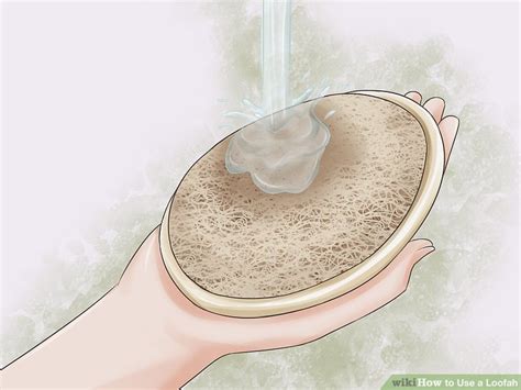 Image result for Loofah Tutorial