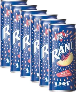 rani Float Peach Drink, 240 ml (Pack of 6) Price in India - Buy rani ...