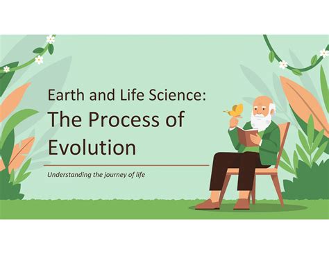 Image result for Evolution Process