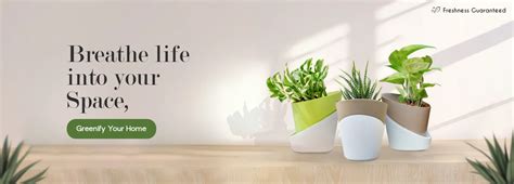 Online Flower Delivery in Indore | 20%OFF | Send Flowers to Indore ...