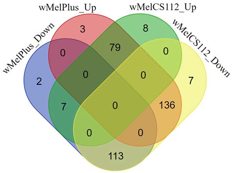 Drosophila melanogaster Transcriptome Response to Different Wolbachia ...