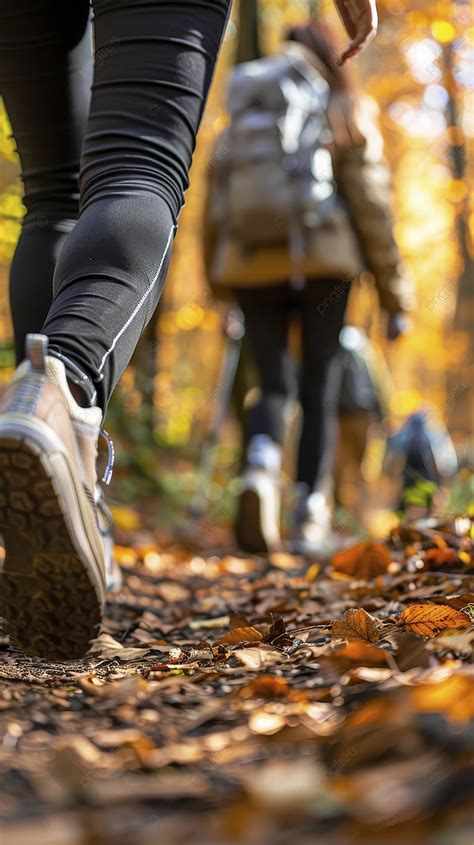Outdoor Hiking 的图像结果