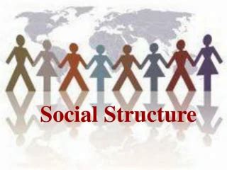 Social Structures Examples 的图像结果