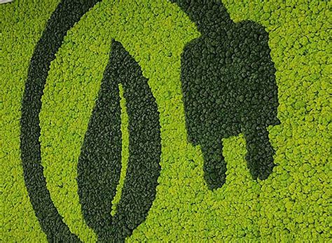 BIS introduces two new safety norms for EV powertrain & batteries ...