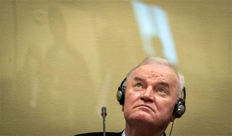 Suljagic: Decision to Release Mladic Not Possible without Vote of ...