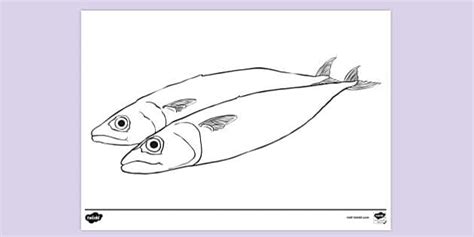 Sardines Colouring Sheet | Colouring Sheets (teacher made)