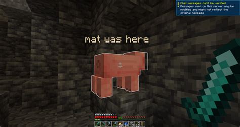 Image result for Minecraft Server Ping Test Bot