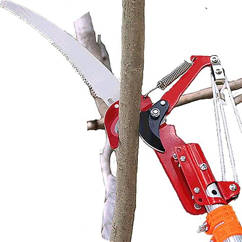 Buy Telescopic Tree Pruner Tree loppers Long Reach Telescopic Branch ...