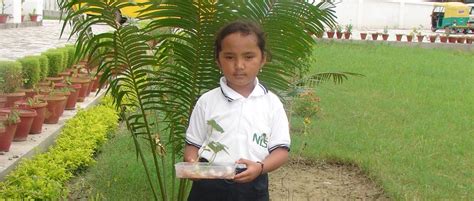 Nurture International Preschool Bengaluru