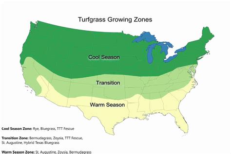 Seeding & Aeration - Prestigious Turf Management - Greener Lawn