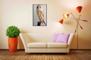 Wall Sticker Poster Of "Vastu Owl"|Lucky Sticker Poster For Wisdom ...