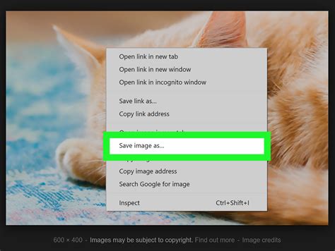 Image result for Image Search Using
