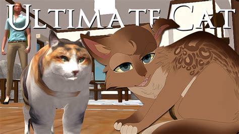 Image result for Ultimate Cat Simulator Tips