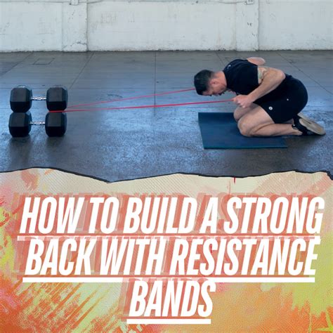 Image result for Good Back Workouts Using Bands