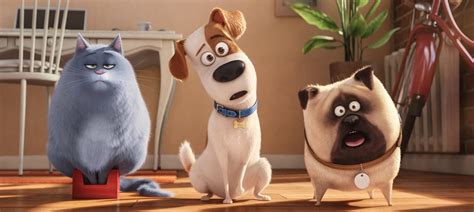 Film review: ‘The Secret Life of Pets’ is fluffy fun