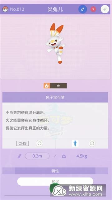 《精灵宝可梦》中文官方网站正式上线！授权周边-新闻资讯-高贝娱乐