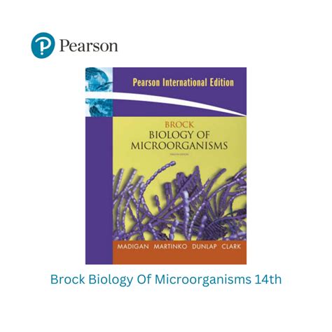 Jual Brock Biology of Microorganisms 12th International Edition 9780321536150 | Shopee Indonesia