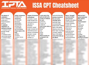 Image result for Issa Cheat Sheet